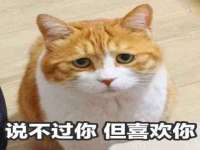 江苏国润建材贸易有限公司