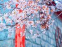 江苏国润建材贸易有限公司