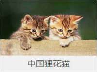 江苏国润建材贸易有限公司