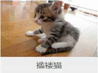 江苏国润建材贸易有限公司