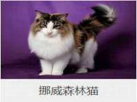 江苏国润建材贸易有限公司