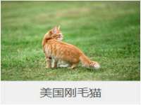 江苏国润建材贸易有限公司