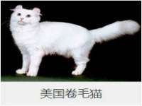 江苏国润建材贸易有限公司