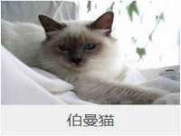 江苏国润建材贸易有限公司