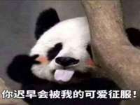 江苏国润建材贸易有限公司