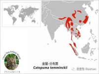 江苏国润建材贸易有限公司