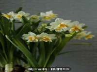 江苏国润建材贸易有限公司