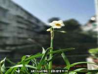 江苏国润建材贸易有限公司