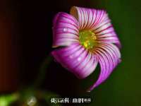 江苏国润建材贸易有限公司