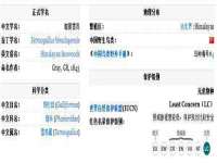 江苏国润建材贸易有限公司
