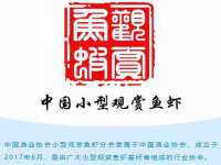 江苏国润建材贸易有限公司